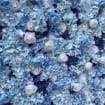 New Design Blue Floral Wall For Wedding Arrangement Event Salon Party Photography Backdrop Fabric Rolling Up Curtain Fabric Cloth