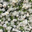 3D Peony Flower Wall For Wedding Arrangement Event Salon Party Photography Backdrop Fabric Rolling Up Curtain Fabric Cloth