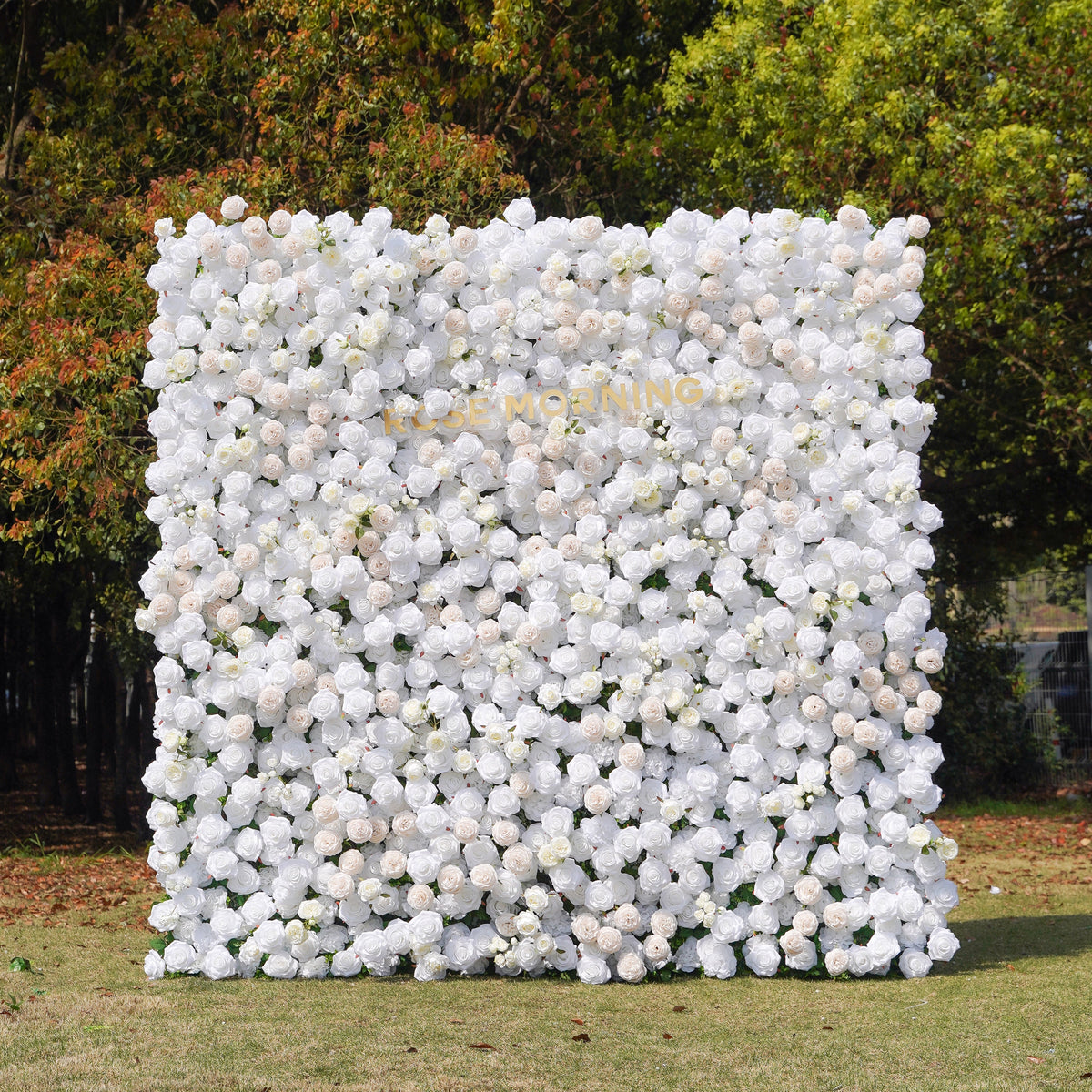 BenBen：5D Fabric Artificial rolling up curtain flower wall Rose Morning