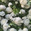 White Flower Wall Green Plants For Wedding Arrangement Event Salon Party Photography Backdrop Fabric Rolling Up Curtain Fabric Cloth US DDP