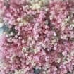 Flower Wall Backdrop [Coral Cloud Blossom Roll-Up Fabric Panel] for Ceremony & Photo Booth N8837