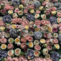 Autumn Floral Wall For Wedding Photography Backdrop Bridal Shower Event Salon Party Arrangement Decor Floral Panels 40x60cm