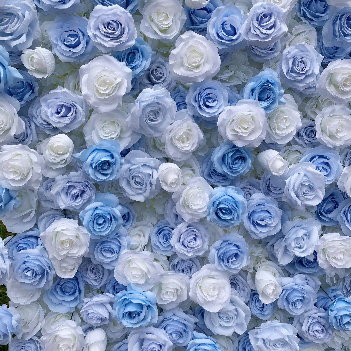Flower Wall Backdrop [Cinderella Blue White Rose Roll-Up Fabric Panel] for Ceremony & Photo Booth