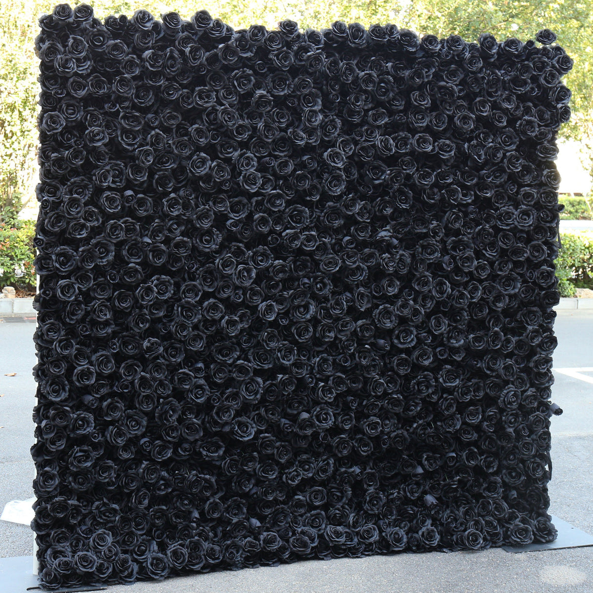 Flower Wall Backdrop [Midnight Noir Black Rose Roll-Up Fabric Panel] for Ceremony & Photo Booth