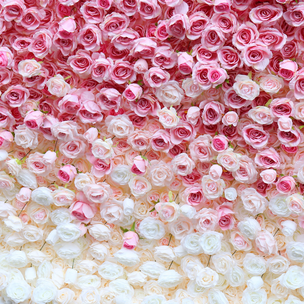 Flower Wall Backdrop [Raspberry Blush Ombre Rose Dual-Sided Roll-Up Fabric Panel] for Ceremony & Photo Booth