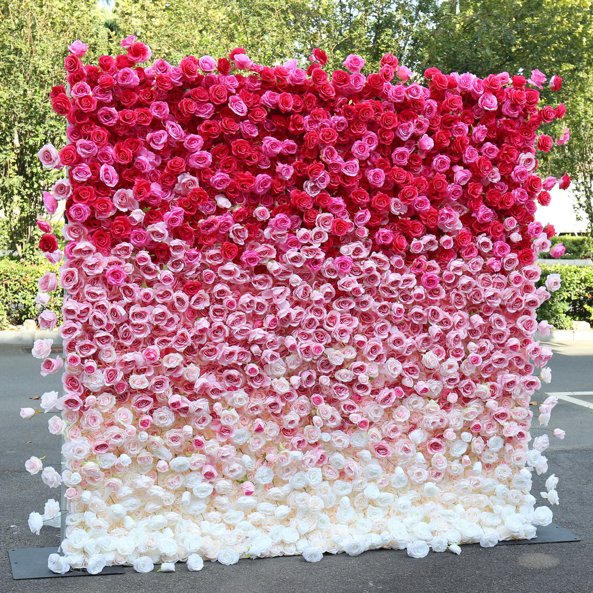 Flower Wall Backdrop [Raspberry Blush Ombre Rose Dual-Sided Roll-Up Fabric Panel] for Ceremony & Photo Booth