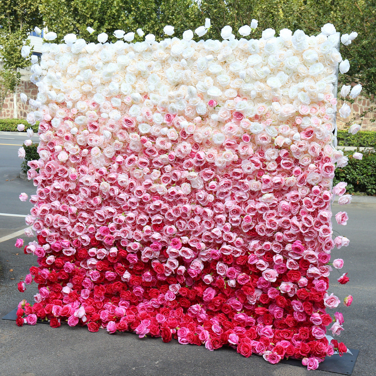 Flower Wall Backdrop [Raspberry Blush Ombre Rose Dual-Sided Roll-Up Fabric Panel] for Ceremony & Photo Booth