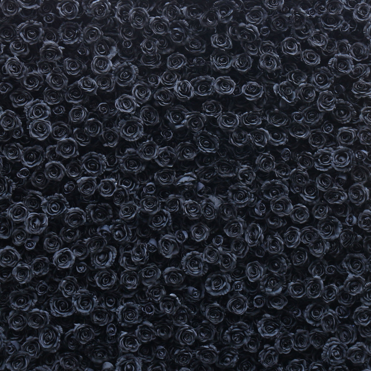 Flower Wall Backdrop [Midnight Noir Black Rose Roll-Up Fabric Panel] for Ceremony & Photo Booth