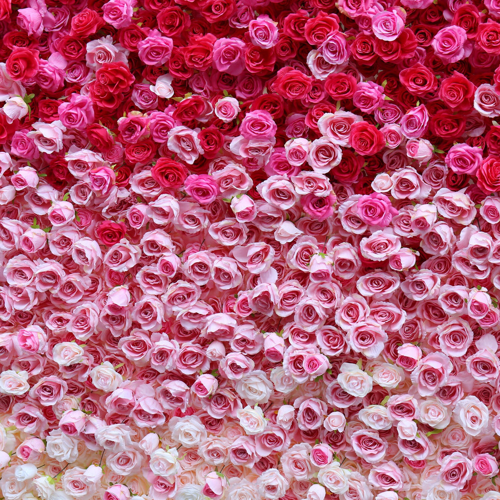 Flower Wall Backdrop [Raspberry Blush Ombre Rose Dual-Sided Roll-Up Fabric Panel] for Ceremony & Photo Booth