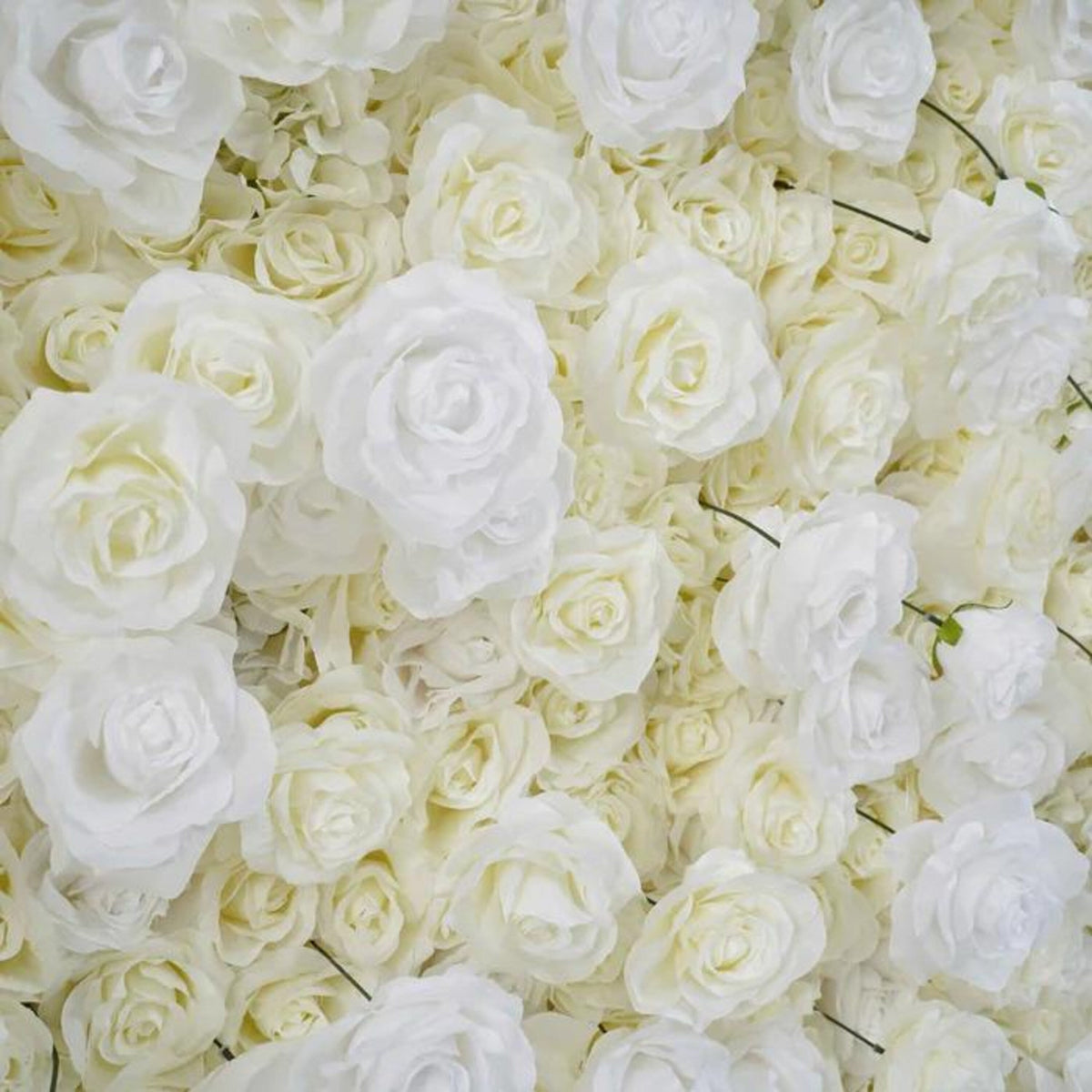 Ships from Houston | White Rose Flower Wall Backdrop, 8x8 ft Artificial Floral Wall, Wedding Photo Booth Decor, Roll-Up Fabric Backdrop