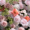 Kaisley：5D Fabric Artificial rolling up curtain flower wall | Event Backdrop | Free Shipping
